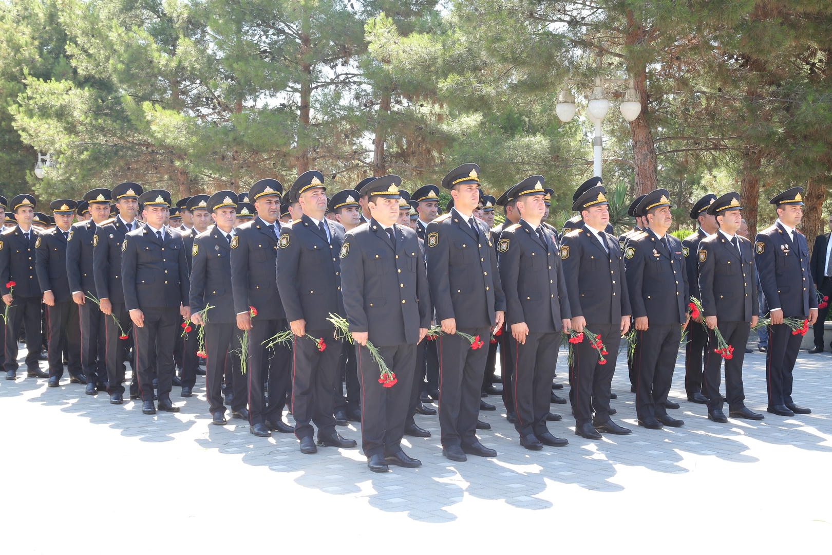MM7A7714.JPG