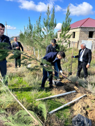 28 oktyabr 2024-cü il tarixdə "Yaşıl dünya naminə həmrəylik ili" ilə əlaqədar Hacıqabul rayonunda növbəti ağacəkmə aksiyası keçirilmişdir.