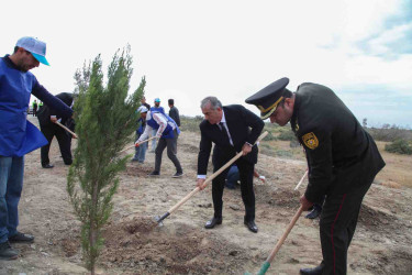 Hacıqabul rayonunda “27 sentyabr - Anım Günü” ilə əlaqədar ağacəkmə aksiyası keçirildi.