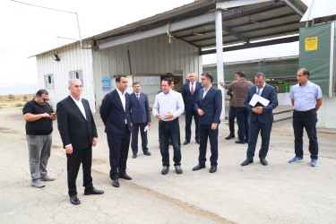 Hacıqabul rayonunda kənd təsərrüfatı, balıqçılıq və akvakultura məhsullarının inkişafına dair Dövlət Proqramının icrası yerlərdə öyrənilib.