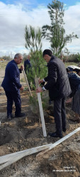 28 oktyabr 2024-cü il tarixdə "Yaşıl dünya naminə həmrəylik ili" ilə əlaqədar Hacıqabul rayonunda növbəti ağacəkmə aksiyası keçirilmişdir.