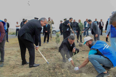 Hacıqabul rayonunda “27 sentyabr - Anım Günü” ilə əlaqədar ağacəkmə aksiyası keçirildi.