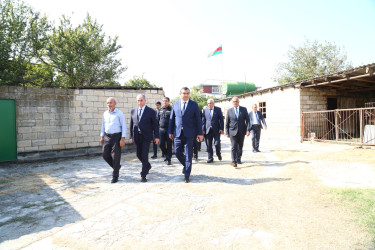 Hacıqabul Rayon İcra Hakimiyyətinin başçısı Sevindik Hətəmov rayonun Qarasu kəndinin, Muğan və Padar qəsəbələrinin Vətən müharibəsində və Antiterror əməliyyatında şəhid olmuş şəxslərinin ailə üzvlərini ziyarət etdi.