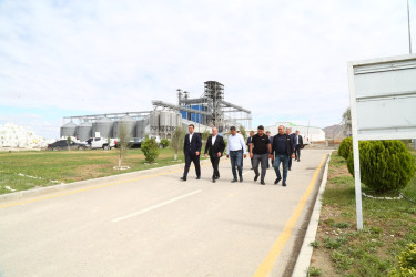 Hacıqabul rayonunda kənd təsərrüfatı, balıqçılıq və akvakultura məhsullarının inkişafına dair Dövlət Proqramının icrası yerlərdə öyrənilib.