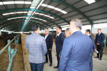 Hacıqabul rayonunda kənd təsərrüfatı, balıqçılıq və akvakultura məhsullarının inkişafına dair Dövlət Proqramının icrası yerlərdə öyrənilib.