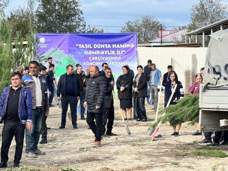 28 oktyabr 2024-cü il tarixdə "Yaşıl dünya naminə həmrəylik ili" ilə əlaqədar Hacıqabul rayonunda növbəti ağacəkmə aksiyası keçirilmişdir.