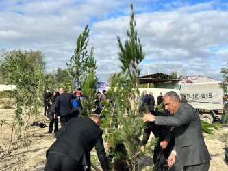 28 oktyabr 2024-cü il tarixdə "Yaşıl dünya naminə həmrəylik ili" ilə əlaqədar Hacıqabul rayonunda növbəti ağacəkmə aksiyası keçirilmişdir.