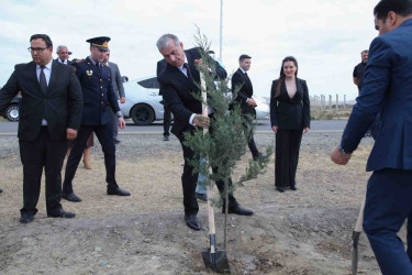 Hacıqabul rayonunda “27 sentyabr - Anım Günü” ilə əlaqədar ağacəkmə aksiyası keçirildi.