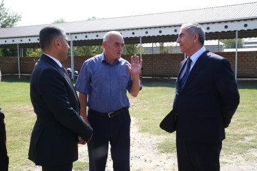 Hacıqabul Rayon İcra Hakimiyyətinin başçısı Sevindik Hətəmov rayonun Kolanı, Meyniman və Ələtli kəndlərinin Vətən müharibəsində şəhid olmuş şəxslərinin ailə üzvlərini ziyarət etdi.