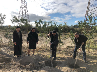 28 oktyabr 2024-cü il tarixdə "Yaşıl dünya naminə həmrəylik ili" ilə əlaqədar Hacıqabul rayonunda növbəti ağacəkmə aksiyası keçirilmişdir.