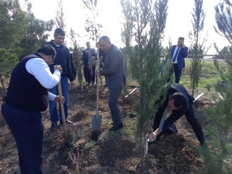 28 oktyabr 2024-cü il tarixdə "Yaşıl dünya naminə həmrəylik ili" ilə əlaqədar Hacıqabul rayonunda növbəti ağacəkmə aksiyası keçirilmişdir.