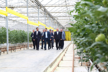 Hacıqabul rayonunda kənd təsərrüfatı, balıqçılıq və akvakultura məhsullarının inkişafına dair Dövlət Proqramının icrası yerlərdə öyrənilib.
