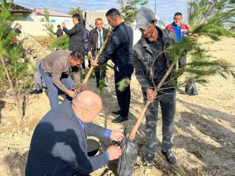 28 oktyabr 2024-cü il tarixdə "Yaşıl dünya naminə həmrəylik ili" ilə əlaqədar Hacıqabul rayonunda növbəti ağacəkmə aksiyası keçirilmişdir.