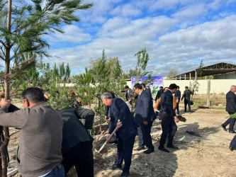 28 oktyabr 2024-cü il tarixdə "Yaşıl dünya naminə həmrəylik ili" ilə əlaqədar Hacıqabul rayonunda növbəti ağacəkmə aksiyası keçirilmişdir.