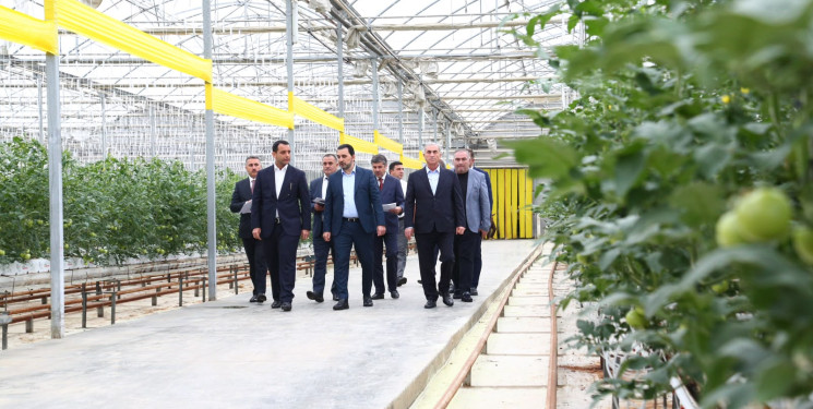 Hacıqabul rayonunda kənd təsərrüfatı, balıqçılıq və akvakultura məhsullarının inkişafına dair Dövlət Proqramının icrası yerlərdə öyrənilib.