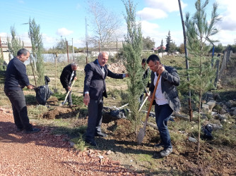 28 oktyabr 2024-cü il tarixdə "Yaşıl dünya naminə həmrəylik ili" ilə əlaqədar Hacıqabul rayonunda növbəti ağacəkmə aksiyası keçirilmişdir.