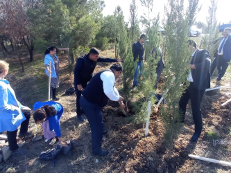 28 oktyabr 2024-cü il tarixdə "Yaşıl dünya naminə həmrəylik ili" ilə əlaqədar Hacıqabul rayonunda növbəti ağacəkmə aksiyası keçirilmişdir.